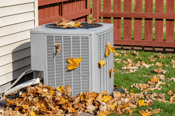 Best HVAC Installation Services  in Williamston, NC