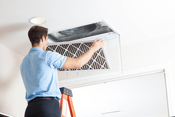 Best Best HVAC Companies  in Williamston, NC